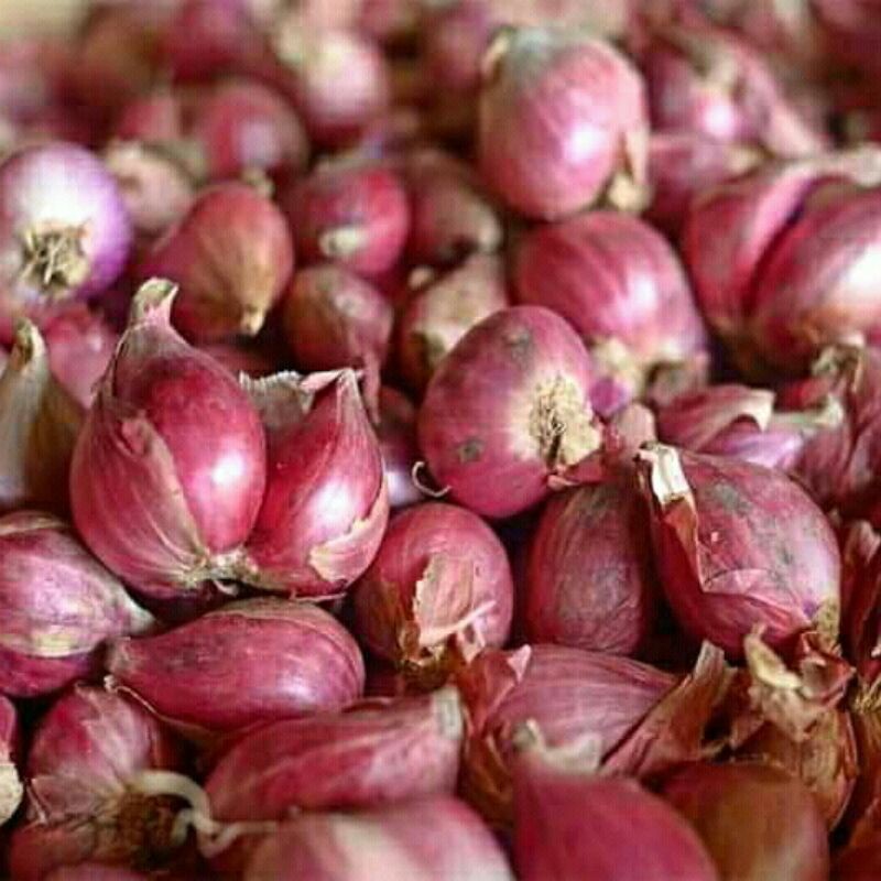 

bawang merah brebes super