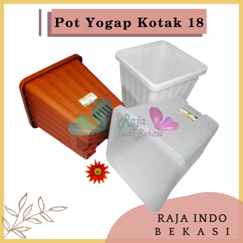 Rajaindobekasi Pot Yogap Kotak 18 Putih Transparan Bening Merah Bata Coklat Terraccota Terakota Orange Pot Yogap 10 13 15 17 18 19 25 30 Pot Yogap Lusinan Pot Kotak Segi Pesegi Empat Panjang Tinggi