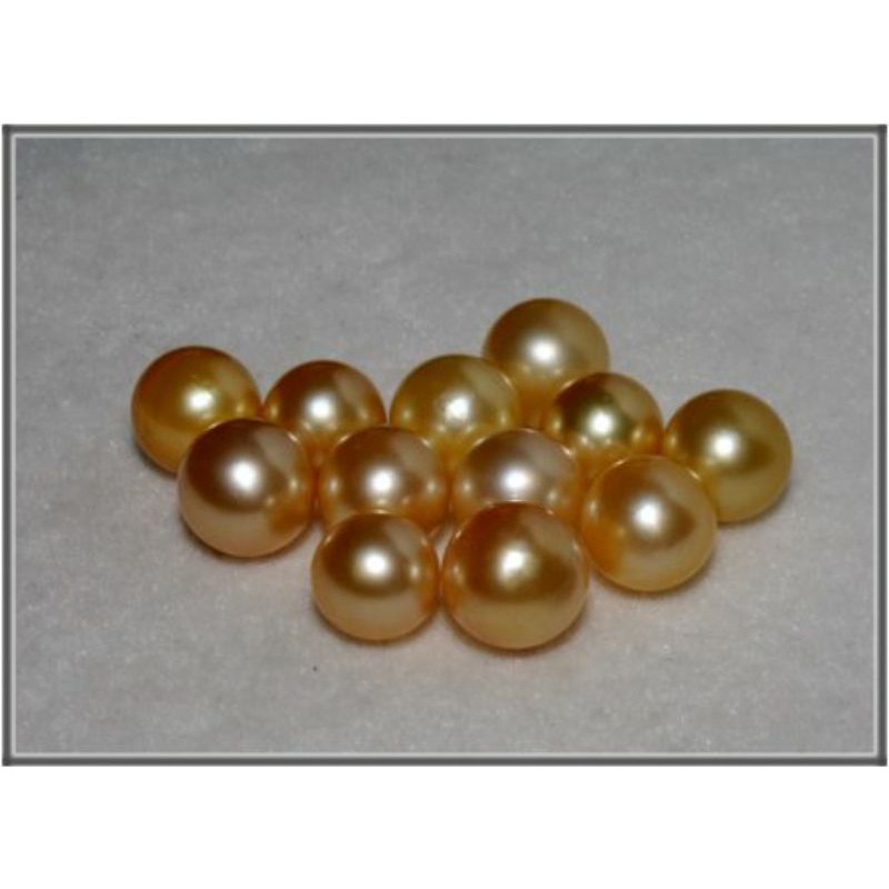 Mutiara Laut Asli Lombok | Sea Water Pearl | Mutiara Lombok | Mutiara laut Lombok