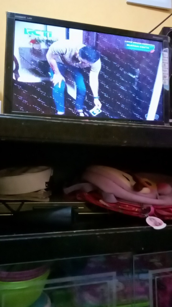 Sponge Pencuci Botol Warna Warni Hargakawan (b67k)