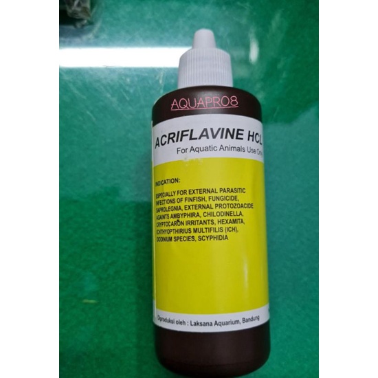 ACRIFLAVINE 100ml Acriflavine HCL BPC Obat Ikan