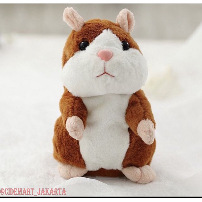 [COD] BONEKA ANAK HAMSTER BISA BICARA MAINAN HAMSTER / TALKING HAMSTER / BONEKA HAMSTER