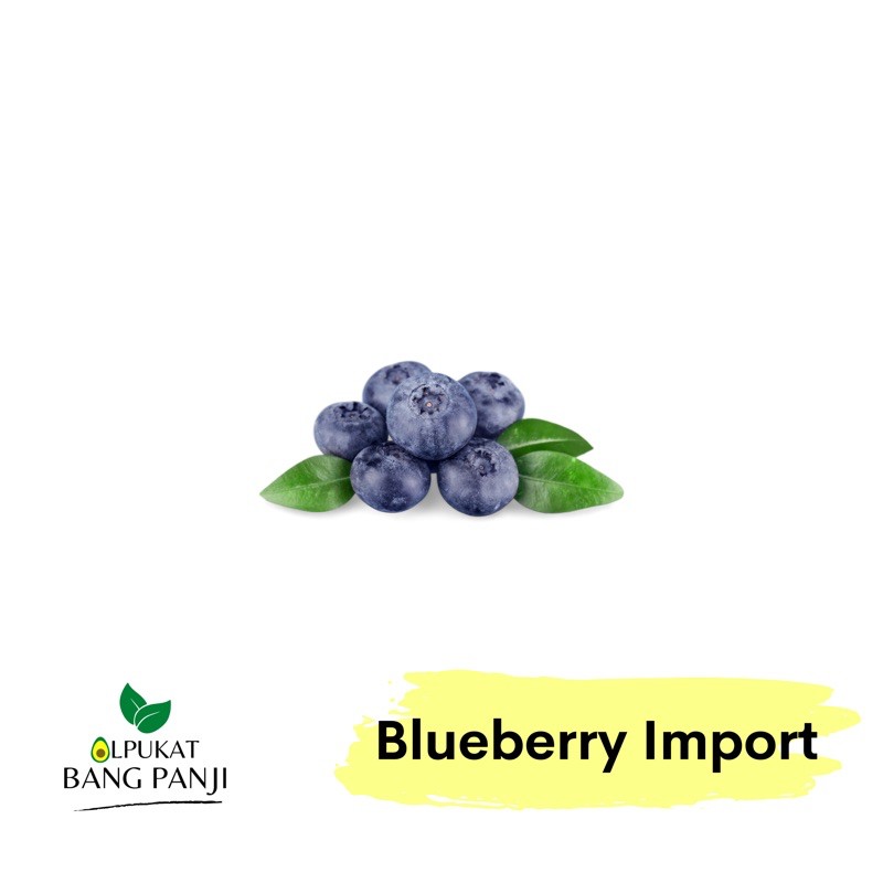 

ALPUKAT BANG PANJI - Blueberry RRC125g