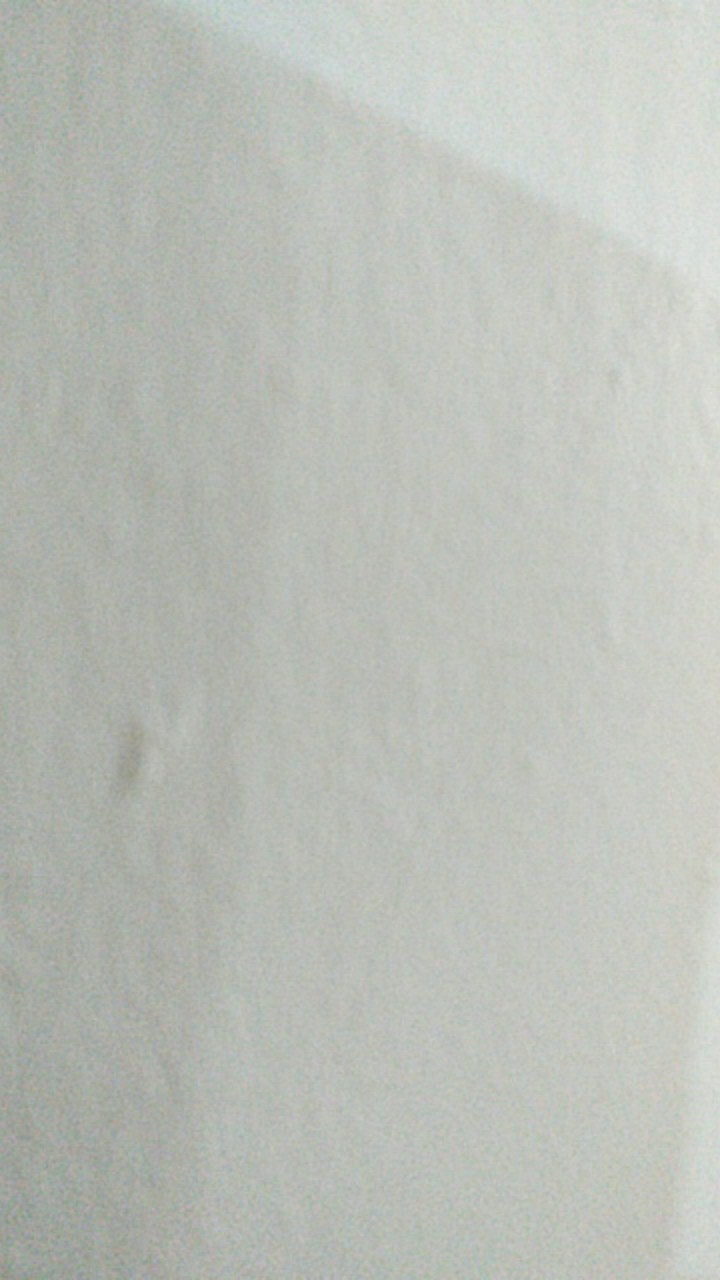 Rajakarta Payung Standar Tongkat Motif Boneka Cute Mix 005gg