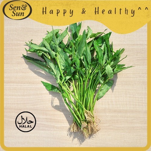 

Sen&Sun Kangkung / Water Spinach Organik (250gr)