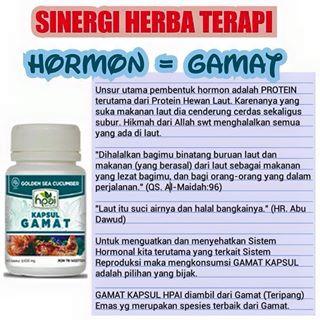 Kapsul Gamat Teripang Gold Sea Cucumber Timun Laut Emas Golden