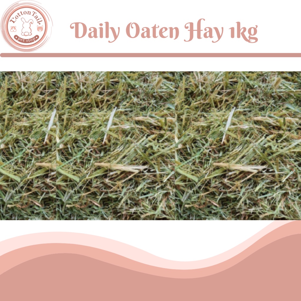 Jual DAILY OATEN HAY NO TIMOTHY MAKANAN KELINCI BEST CHOICE OATEN HAY ...