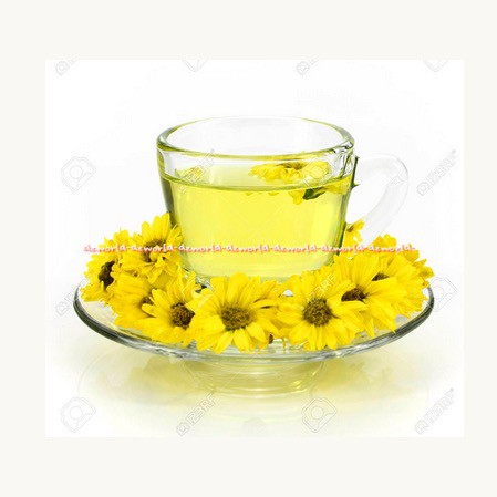 Gold Roast Instant Oneyed Chrysanthemum Tea 30sachet Teh Bubuk Kemasan Saset Goldroast