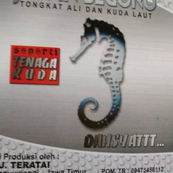 

Terbaik Jamu JARAN SEGORO tongkat ali dan kuda laut | TERPOPULER | VIRAL | TIKTOK