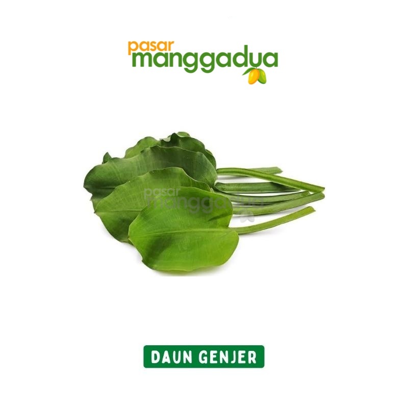 

Daun Genjer Per Ikat / Produk Musiman