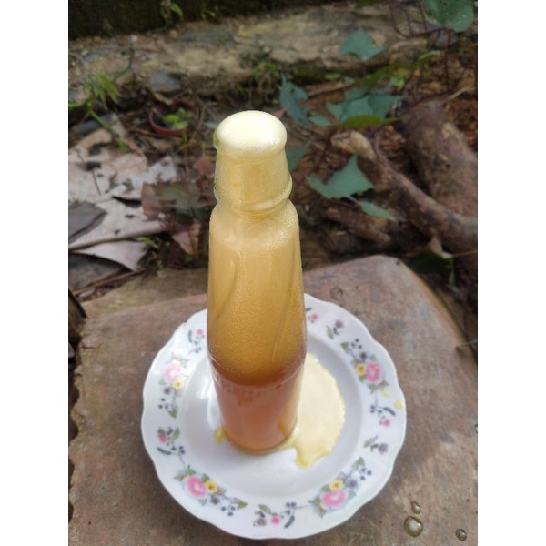 

madu murni lebah liar hutan sebangau Kalimantan tengah. suplemen kesehatan, obat herbal