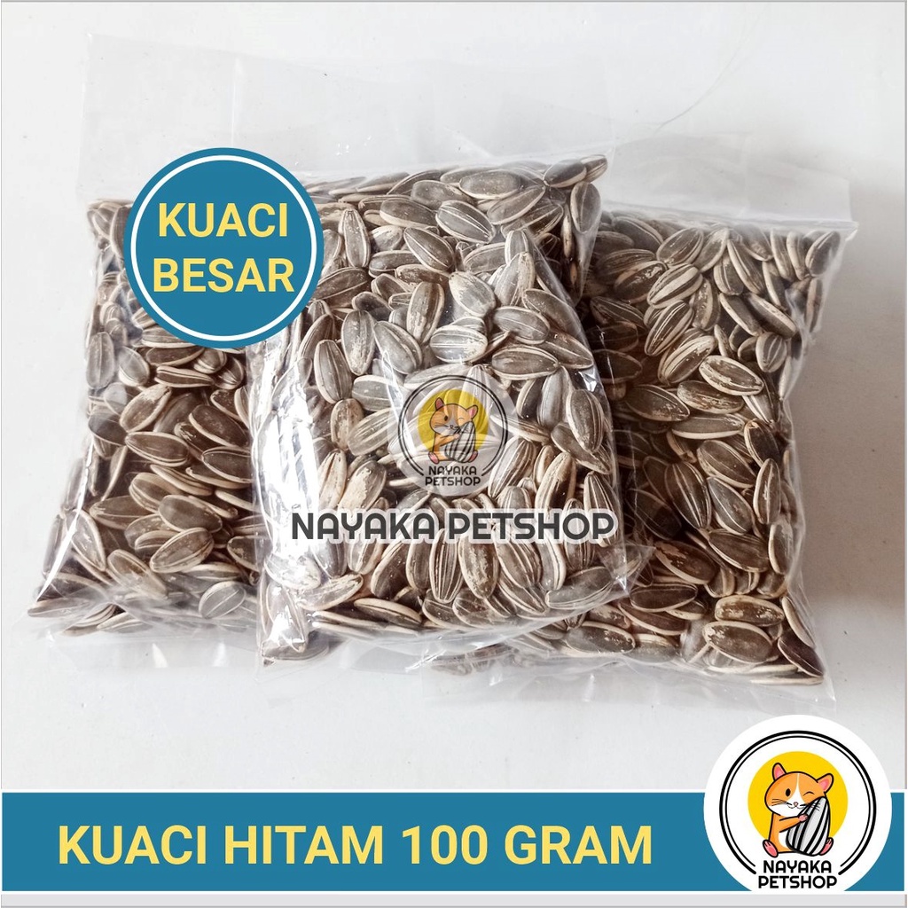 Kuaci Hamster Hitam 100 gr Snack Makanan Hamster Pakan Murah