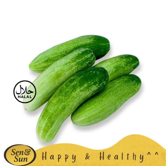 

Sen&Sun Timun Lokal 500 gr