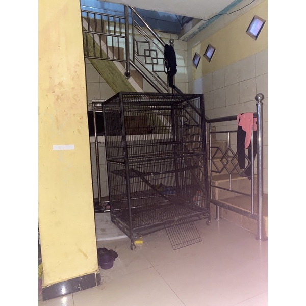 kandang besi kucing