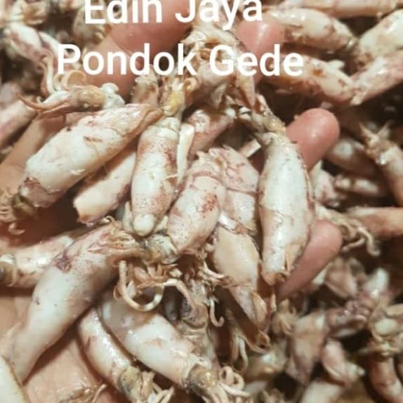 

✯ Cumi Ukuran Sedang Netto 500 Gram ♂