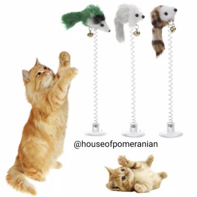 Mainan tikus kucing anjing interaktif dog cat toys