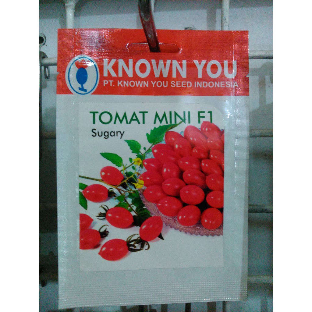 BENIH TOMAT MINI F1 SUGARY - KNOW YOU SEED