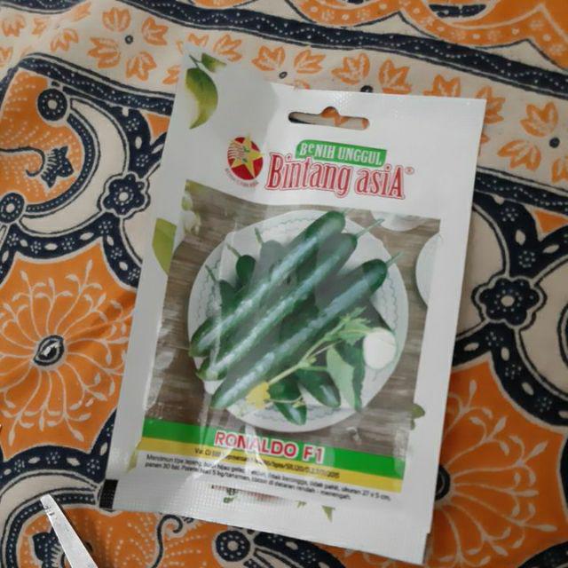 Benih Timun Jepang Ronaldo F1