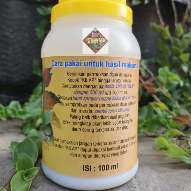 kilap leafshine spray 100ml - pengkilat daun bikin tanaman cantik