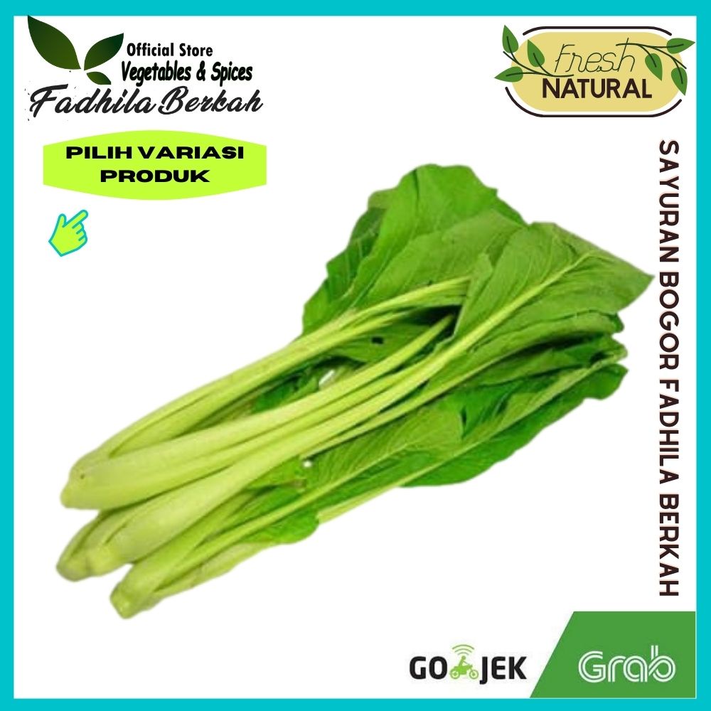 

Sawi Hijau Caisin 500grm | sayuran segar| Sayuran fresh| sayuran bogor| Sayurmayur | Aneka sayuran