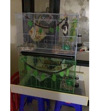 KANDANG KUCING, KELINCI, SUGER GLEDER, DAN BURUNG. SIZE L 60x42x40-3