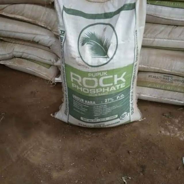 Pupuk rock phosphate mesir