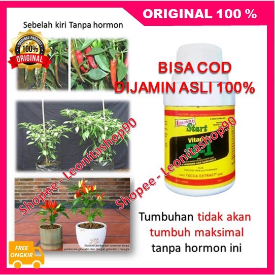 BELI 1 GRATIS 1 Hormonik Grow Plant Pemulihan Pohon Lemah Merangsang Pertumbuhan Akar 100% ORIGINAL