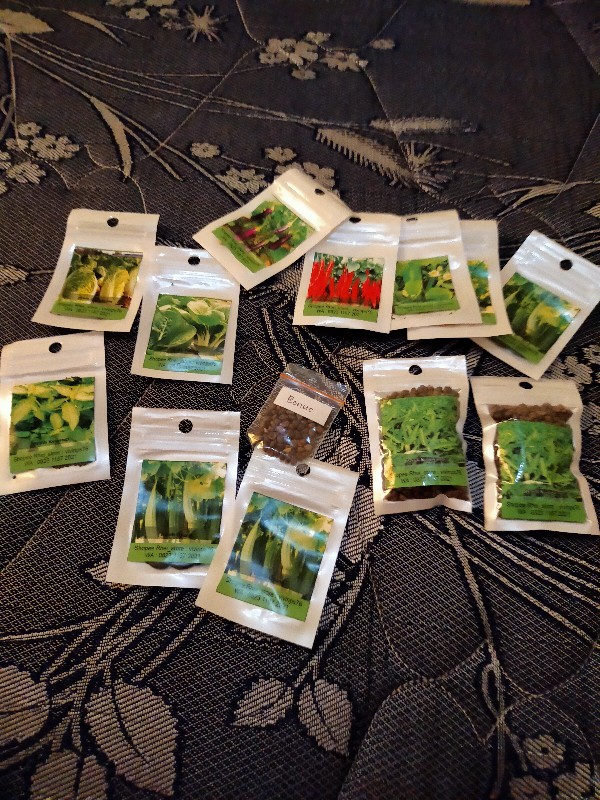 200 Biji Benih Kangkung Bangkok Cap Panah Merah