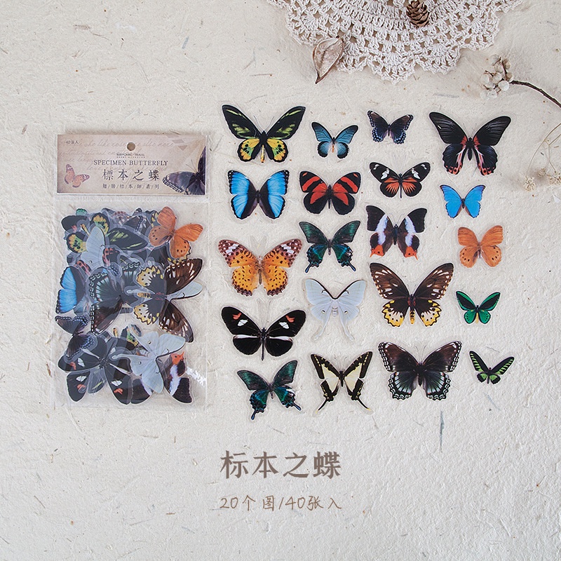 40pcs Stiker Bentuk Sayap Taxidermist Butterfly Hand DIY 8 Gaya Untuk Album