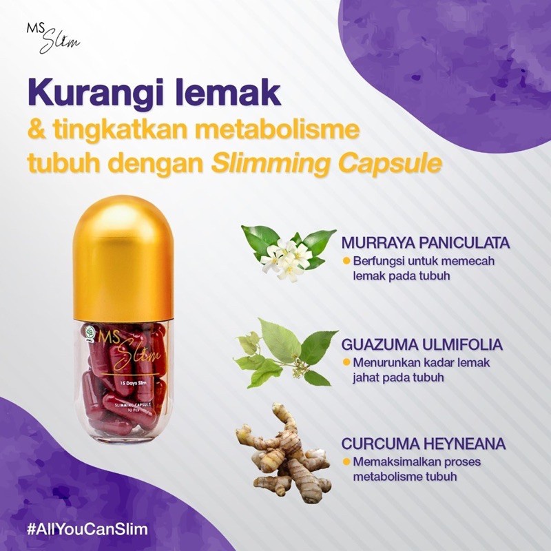 Ms Slim Capsule Body Treatment Oil Pelangsing Badan Ms Black Minuman Diet Penurun Berat Badan Ms Slim Drink Slimmeal