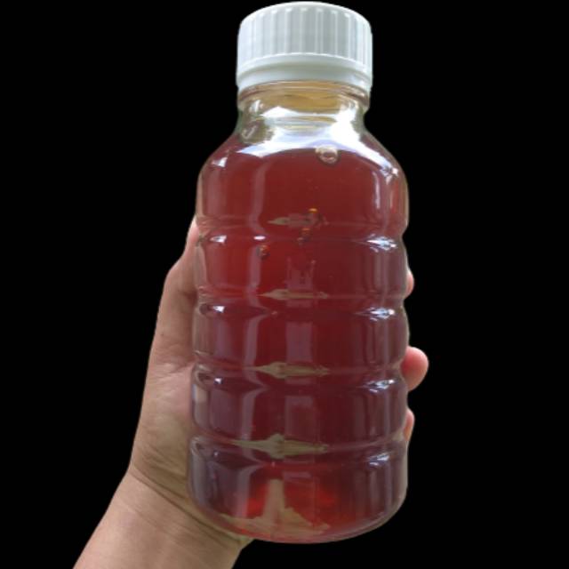

Madu MUTIARA LEBAH DORSATA (MADU GUNG) 500 ml