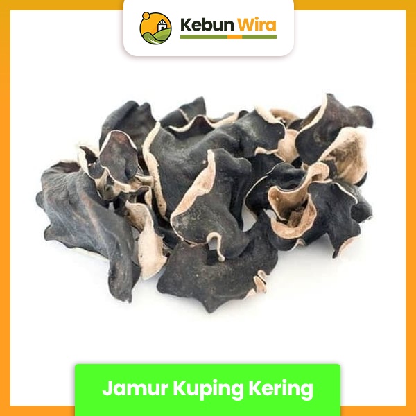 

Jamur Kuping Kering | Fungi Mushroom Dry