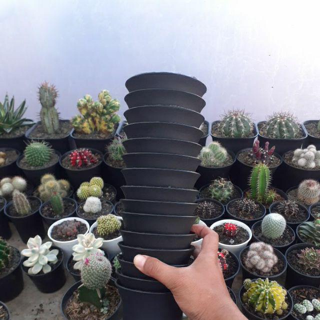 Pot Bunga Plastik Sanse 12