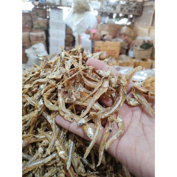 

Teri Tawar asli