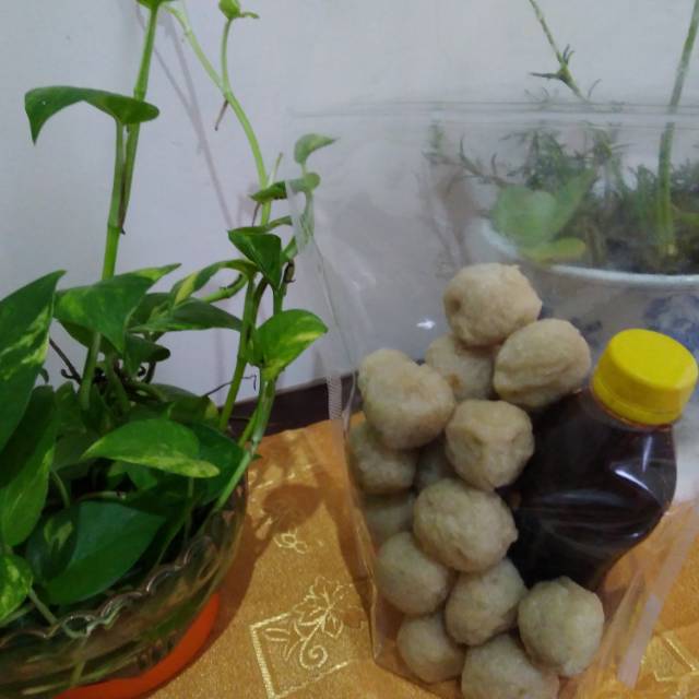 

Pempek Adaan