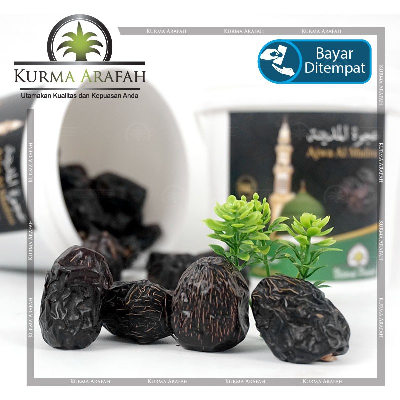 Kurma Ajwa Ember 750 gr Ajwa Al Madina Ajwa Asli Kurma Premium Ori