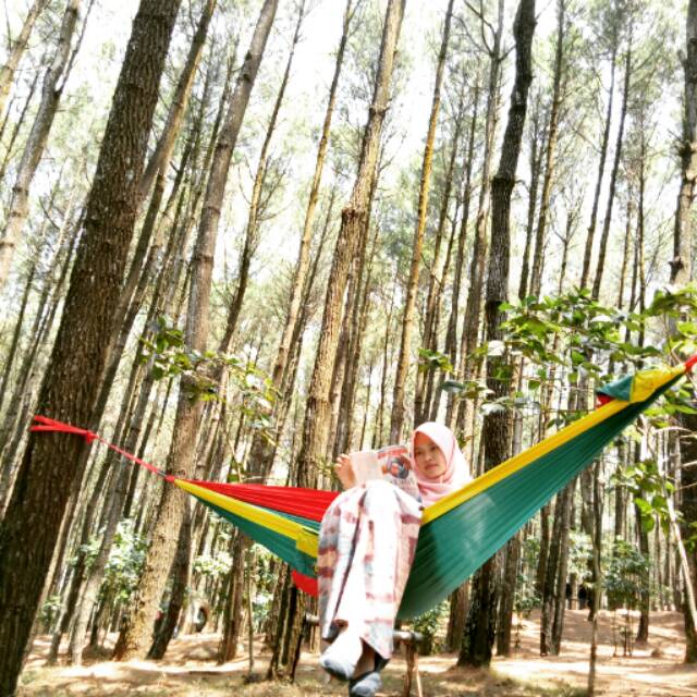 Hammock akiramata 3 warna ring