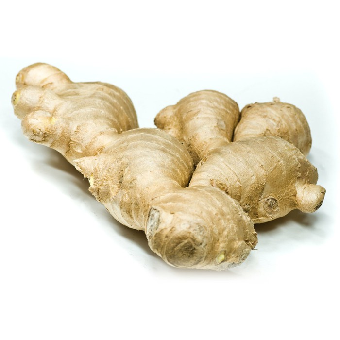 

Jahe Gajah - 100 Gr