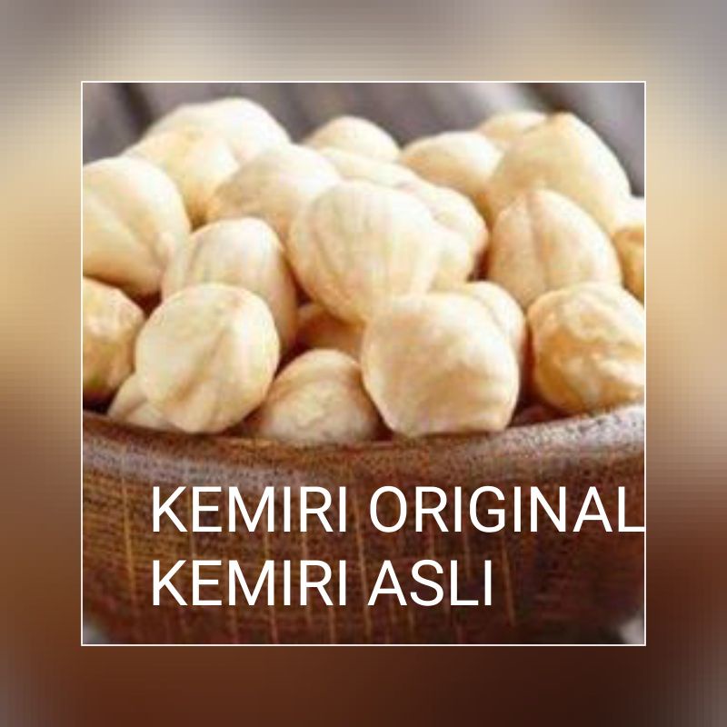 

bumbu dapur(kemiri)