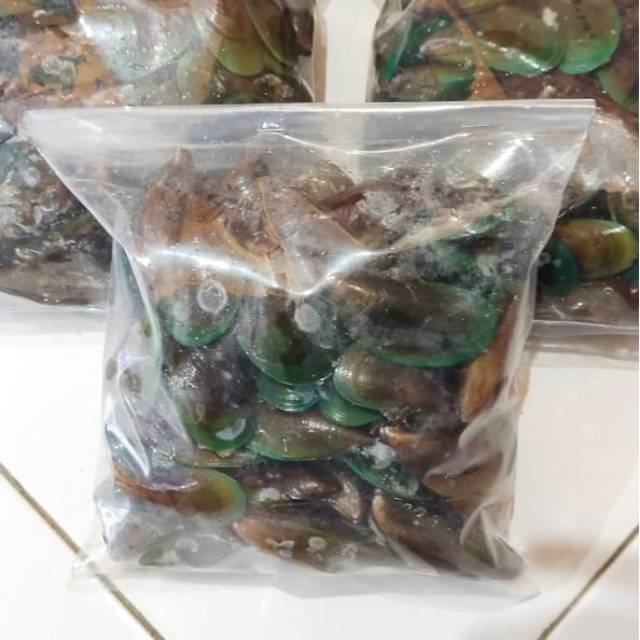 

Kerang ijo harga per 3 kg ( kerang hijau)