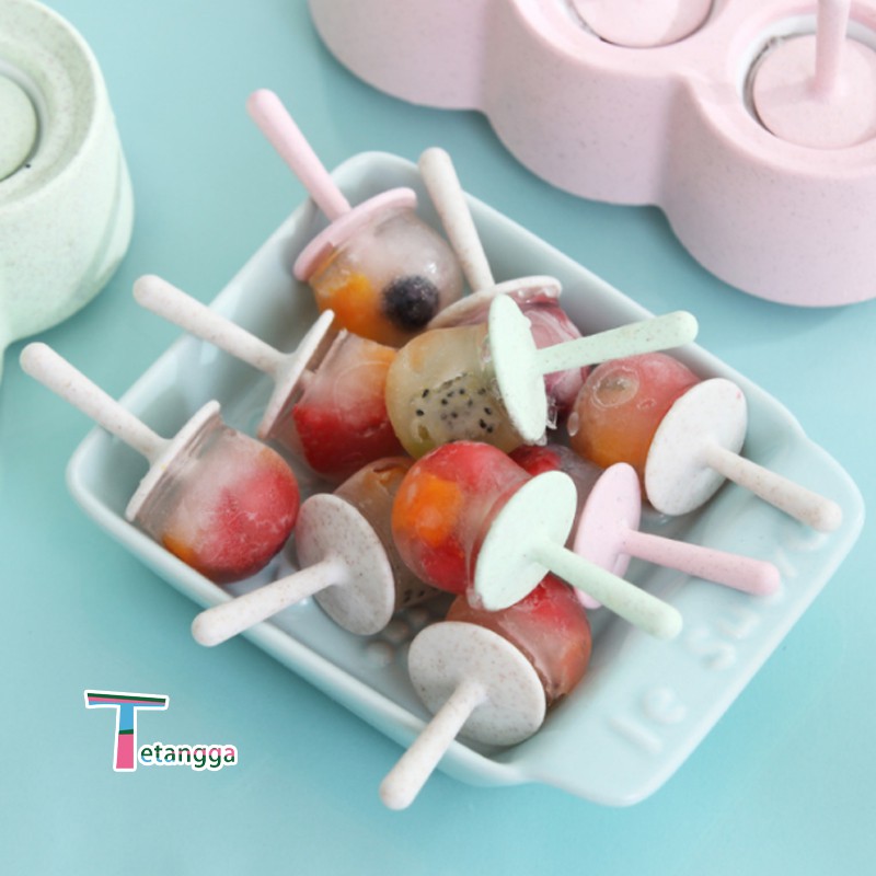 Cetakan Eskrim 6 Slot Es Loli DIY Beserta Lucu Es Batu Bulat Bola Ice Ball Maker Silicone