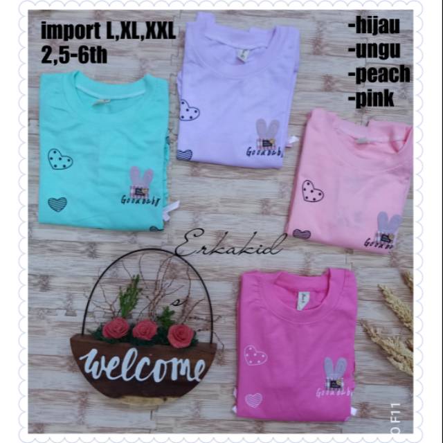 Kaos anak cewek lengan panjang