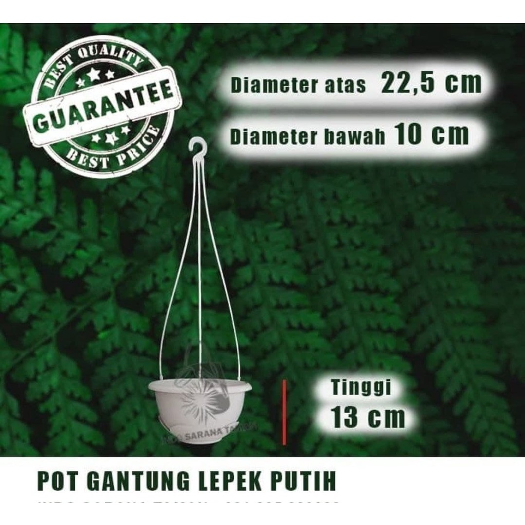 POT GANTUNG ALAS PUTIH | Pot Gantung Lepek | Pot Tanaman | Pot Bunga | Pot Plastik | Grosir Pot
