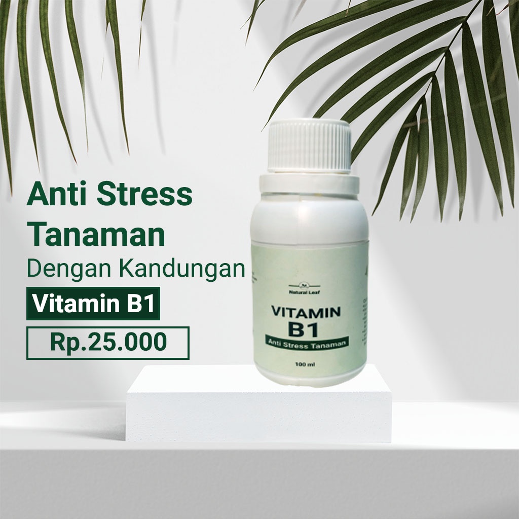 Jual Vitamin B1 Anti Stress Untuk Tanaman 100ml | Shopee Indonesia