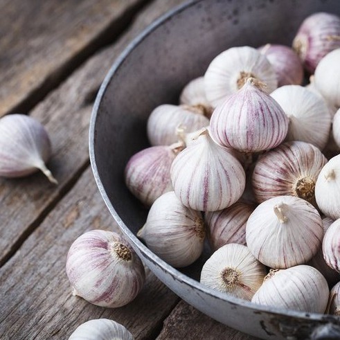 

Bawang Putih Tunggal - Bawang Lanang