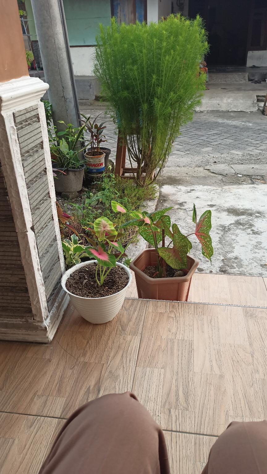 Best Seller Gamis Batik Manggar, Padi,sekar,cantik,kubis,kipas,daun,kupu,nadien,gendis