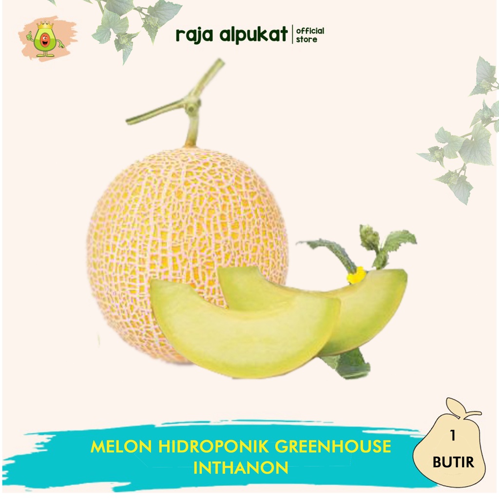 

MELON HIDROPONIK GREENHOUSE (1 BUAH)