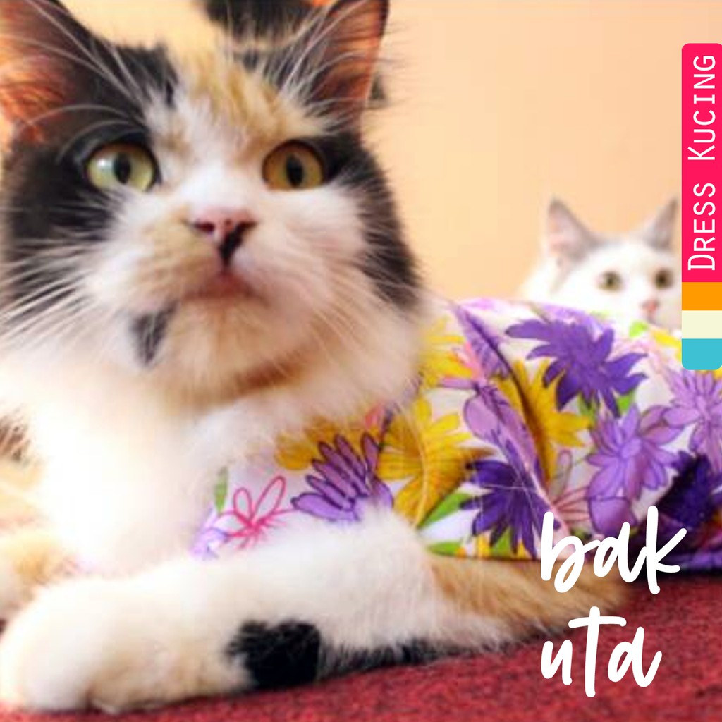 Baju pantai keren untuk kucing anjing / baju kucing / kostum kucing imut size S M L XL