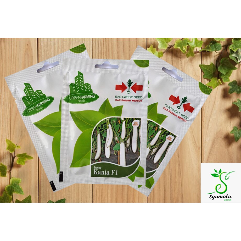 Benih Bibit Terong Putih Kania 200 biji Cap Panah Merah