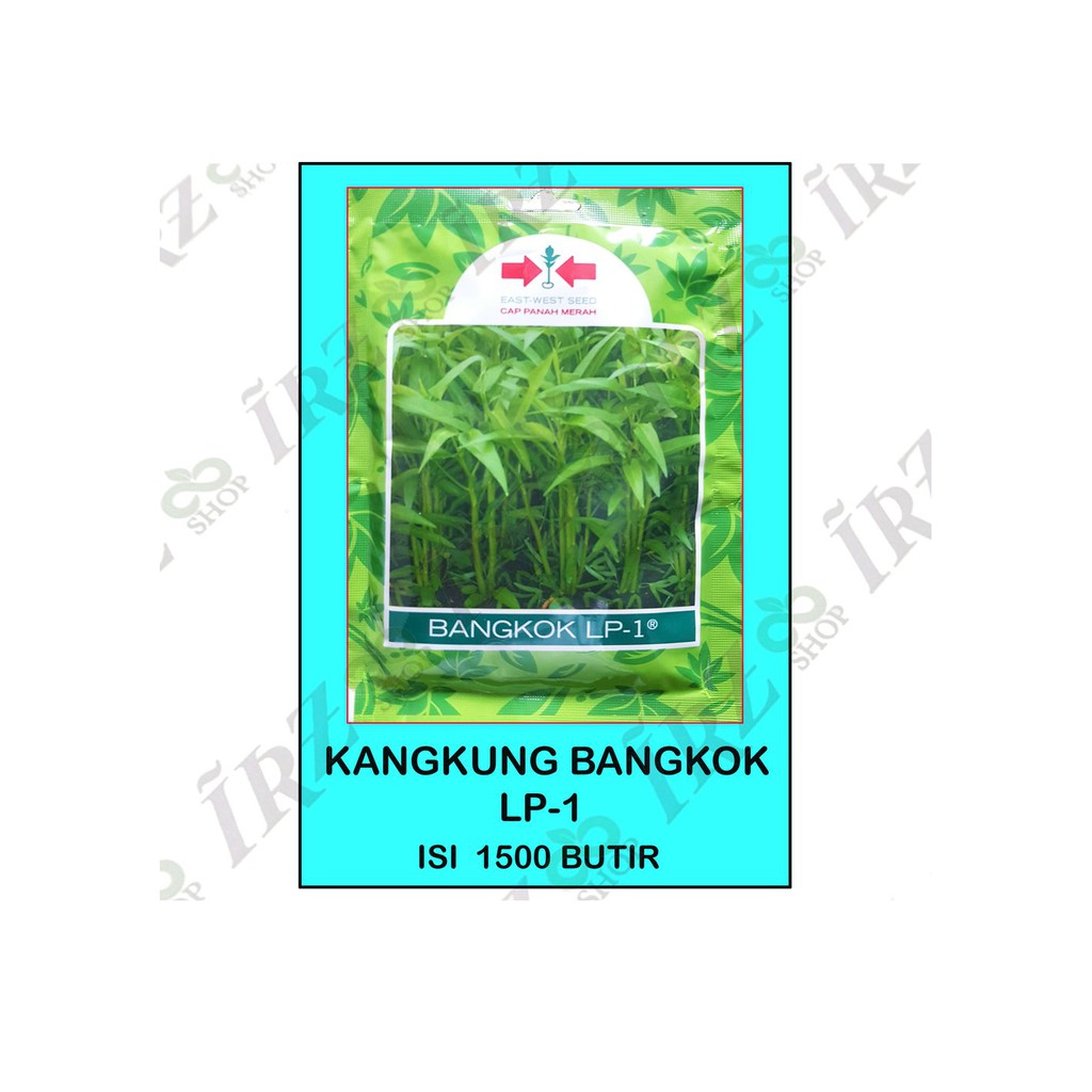 benih kangkung bangkok panah merah Berkualitas